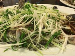 清蒸老虎斑-镛记酒家