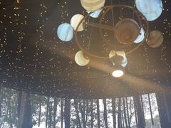 -二荆条·城市森林火锅旗舰店