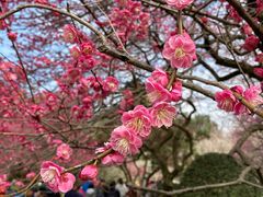 -杭州植物园