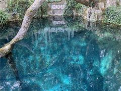 -蝴蝶泉公园