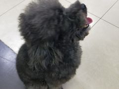 -宠颐生中康贝怡动物医院