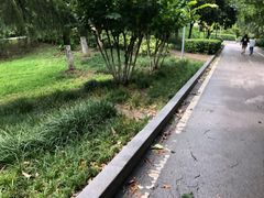 -后襄河公园