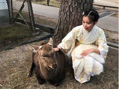 -枫雅和服体验(奈良店)