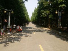 -日照海滨国家森林公园