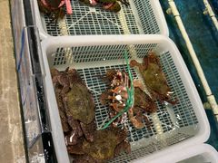 -阿伟海鲜楼·福建菜(涵江店)
