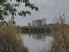 -青城公园