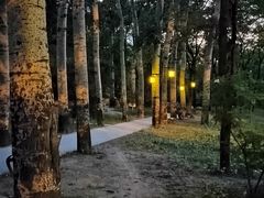 -海棠花溪(元大都城垣遗址公园)