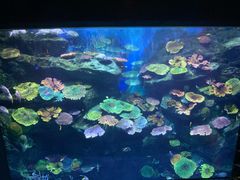 -暹罗海洋世界