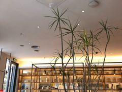 大堂-村外有星光小食铺(长嘉汇店)