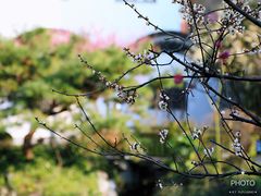 -南京民俗博物馆(甘熙故居)