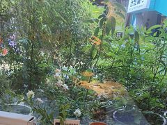 -春树下·树屋花房西餐厅(罍街AS1980店)