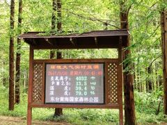 -黄海国家森林公园