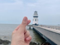 -爱情邮局