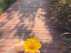 -怡海公园(桂城街道)