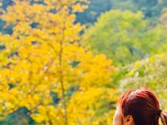 -天目山大树王景区