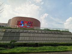 -中国宋庆龄青少年科技文化交流中心