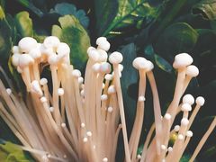 -庄老幺火锅(娄山关路店)