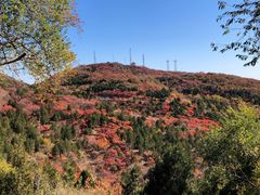 -北京西山国家森林公园