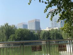 -黄村公园