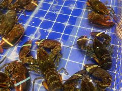 -百纳·锦绣江南 (百纳瑞汀酒店)