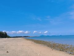 -东郊椰林