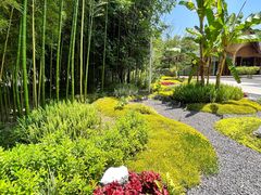 -眉山湿地公园(东坡区)