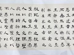 -阿妮亚少儿美术书法(望京店)