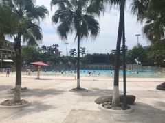 -重庆海昌加勒比海水世界