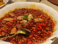 -秀儿四九城·新京菜(亚运村鸟巢店)