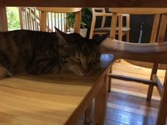 -猫的天空之城概念书店(杭州南宋御街店)