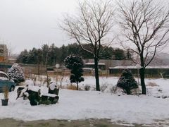 -景福宫