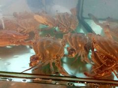 -合家小菜餐馆(新诚花苑店)