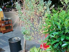 -木屋烧烤(南山蛇口招商花园城店)
