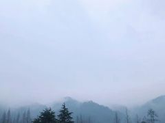 -九华山友谊土菜馆 小资餐厅