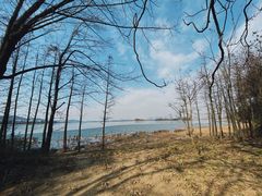 -长广溪湿地公园