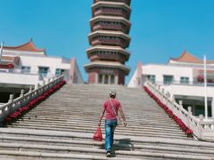 -三水森林公园