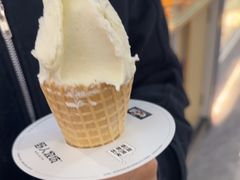 -野人先生现做冰淇淋(西安赛格店)