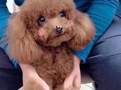-中田健身工作室(中针商务店)