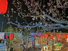 -老村长农家院