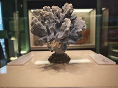 -上海中国航海博物馆