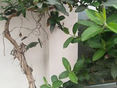 -花迹(富春江东街店)