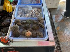 -大湾区中央湿地公园-十九涌