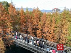 -福道