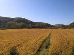 -南泥湾风景区