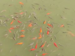 -廊坊文化艺术中心