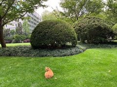 -静安公园(静安寺街道)