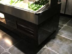 -欢乐牧场(T12店)