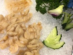 象白蚌刺身-林记生蚝·专注生蚝三十载(创意园店)