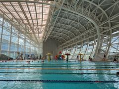 -广西体育中心-游泳馆