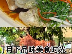 -院里寻菜·精致庭院菜(观沙岭店)